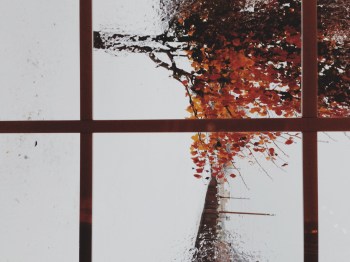 Processed with VSCOcam with m5 preset