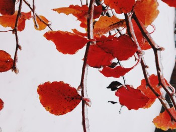 Processed with VSCOcam with c1 preset